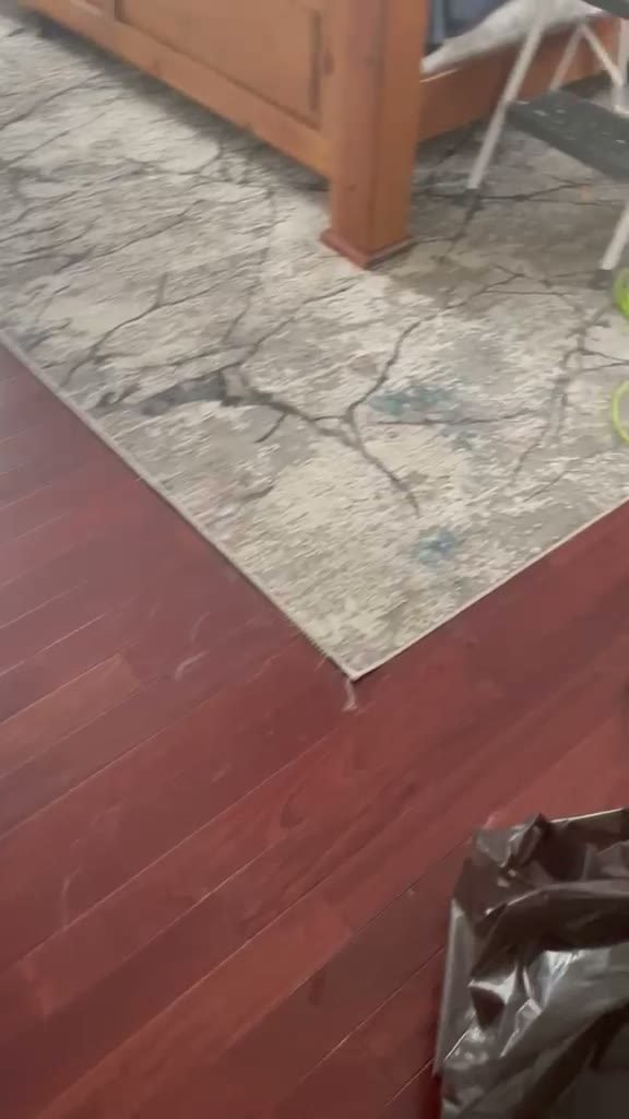 Floors and rug reset